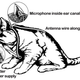 Illustration for article titled CIA Animal Tech: Bats, Cats and Rats As Covert Operatives